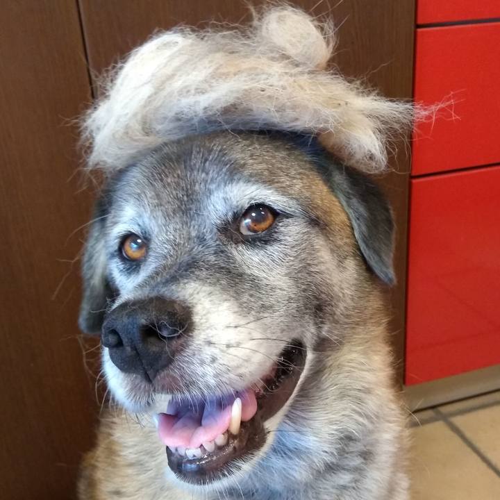 A1446e9d 12b8 480e bea0 6f1a57f8d61a 1724023856797