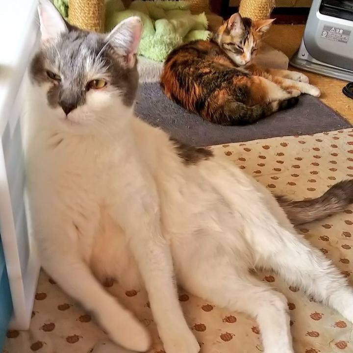 A144732a 10aa 4a94 8c55 cd3e51bb8f00 1550847584806