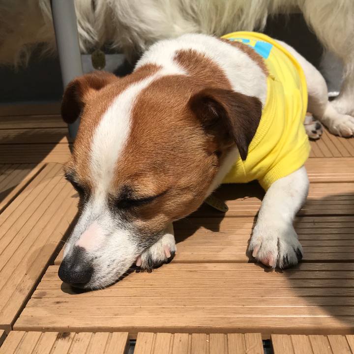 A14477fe 9a3a 4b12 b6d8 1169aebb76a9 1522377488082