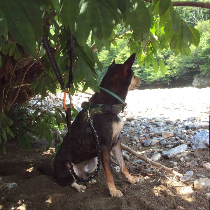 A1447a35 b92e 4c46 9e46 0366d165ebf7 1534250037472