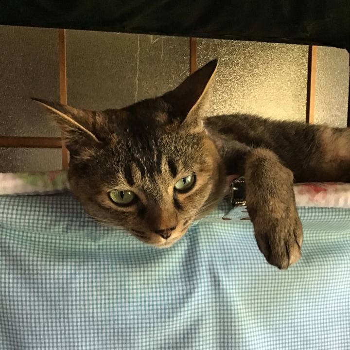 A1449edb 0018 40d6 8df0 7302b69021fd 1657107077282