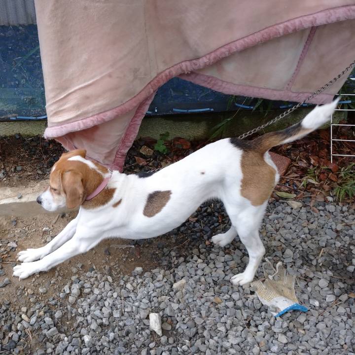 A144eb3e 75fd 460c 98bb 480153023368 1581682331962