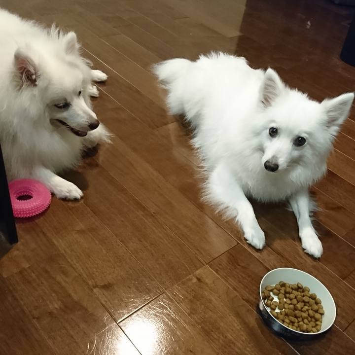 A144f0da 75bb 46d9 bd92 6068d5986096 1562770070231