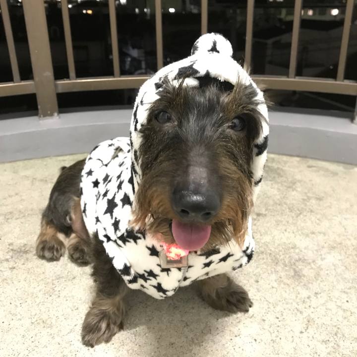 A1452043 2fbd 487d a3bd 40e7c7329316 1508940992471