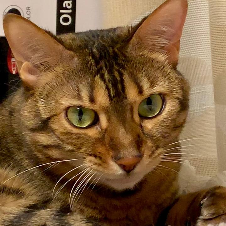 A1455392 443b 4a32 b5b7 9882d21c0b10 1563143946111