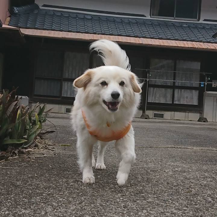 A1455e2e b72e 4510 b2ad 65bb83245a73 1550113309138