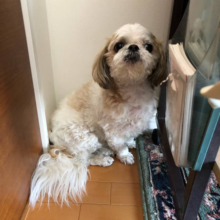 A145612b 6968 4498 b023 2f1cc0a6caef 1525037383117