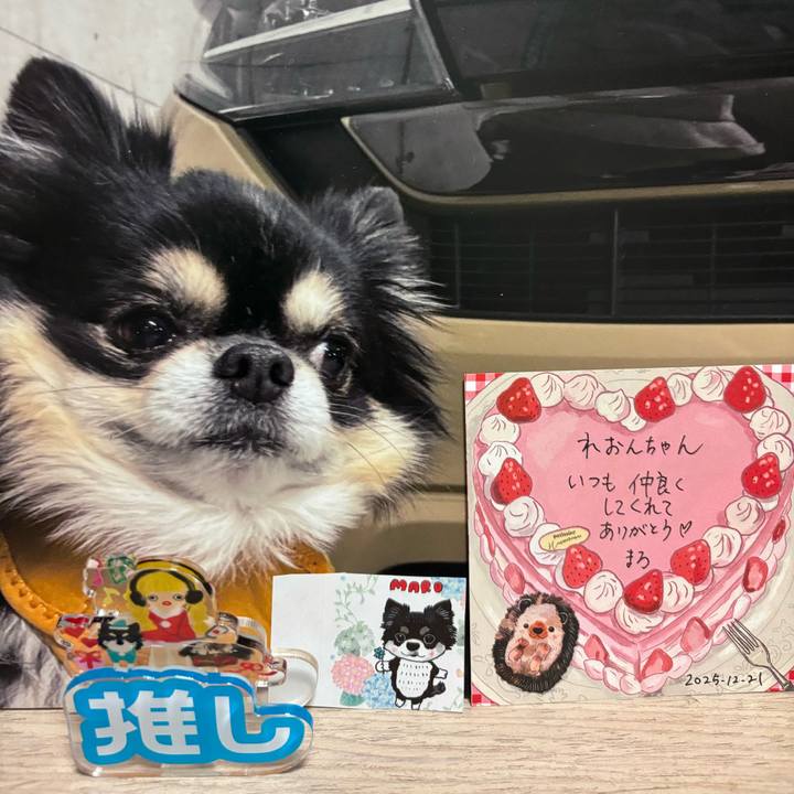 A145852c 1268 42b8 9324 8c31a3b77710 1766361919685