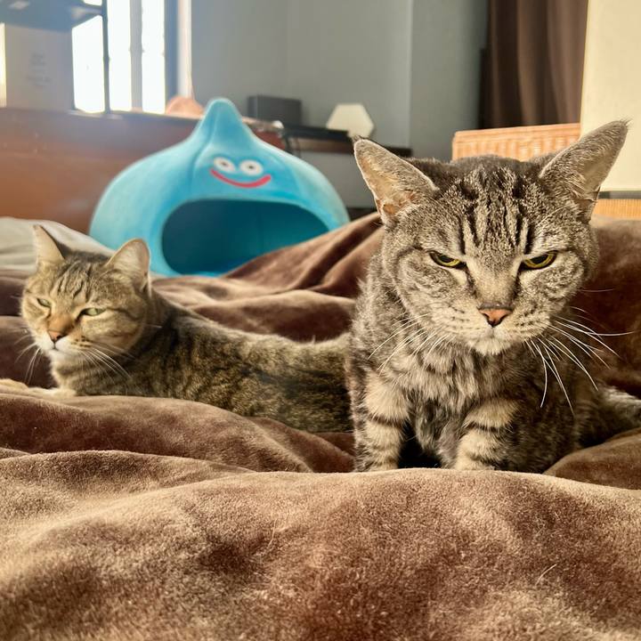 A145b741 716e 49bf 840e 96f04da25bcd 1764594392337