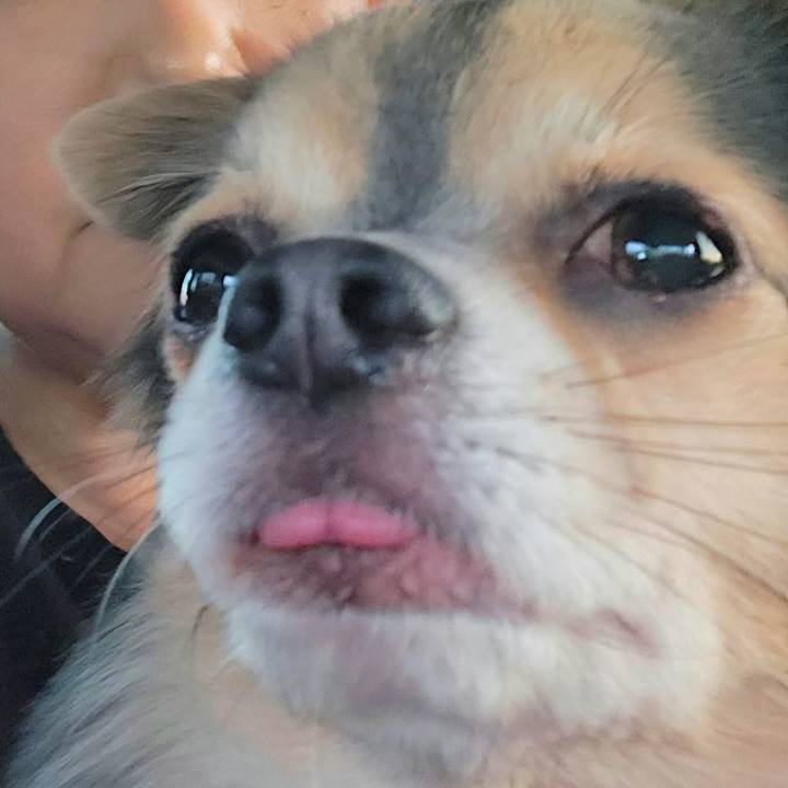 A145e3cf 158d 49ee b7c3 76d295044174 1769831828222