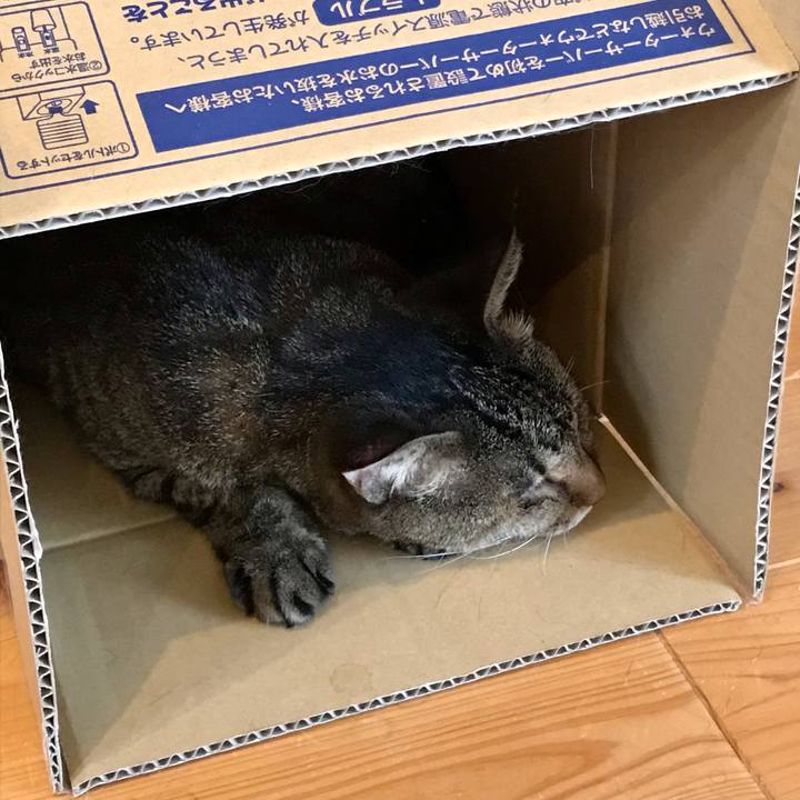 A145f399 1af0 4646 bcc4 3713ce615feb 1630199953578