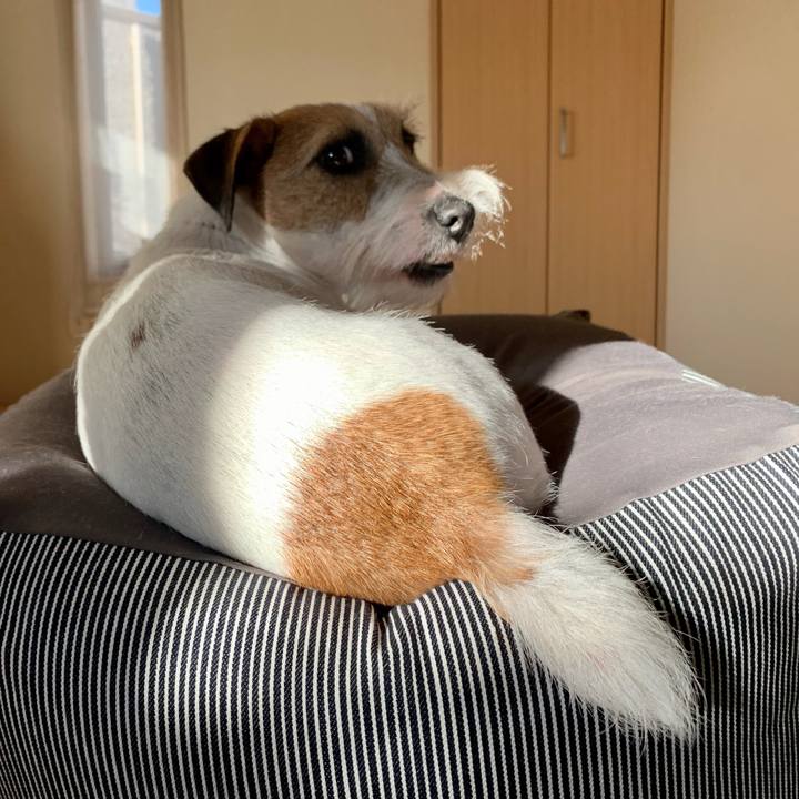 A146242d deb5 40c2 9df0 65f7340230bb 1607645222082