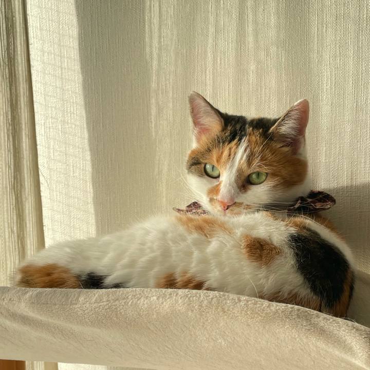 A1463015 5ea6 40c7 b92d 7ec4a2b05072 1763273917120