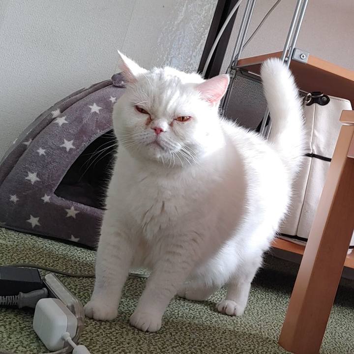 A1463765 f201 4716 9721 dbdb82bb7898 1641174945262