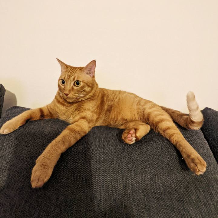 A146378f 15ab 4086 94a3 9585ad7fcaf7 1656329181788