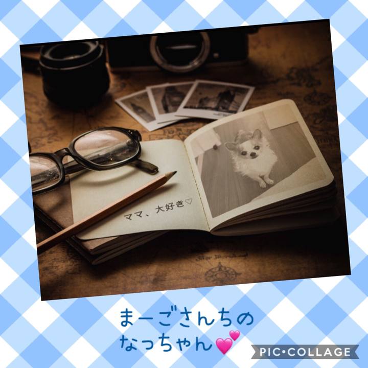 A1463b51 3fae 4fdf bec3 02be3d6087f7 1549593926645