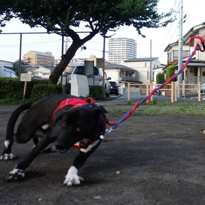 A1463f7a f19e 4d3e a21b 33b2b776b4fa 1592910744860