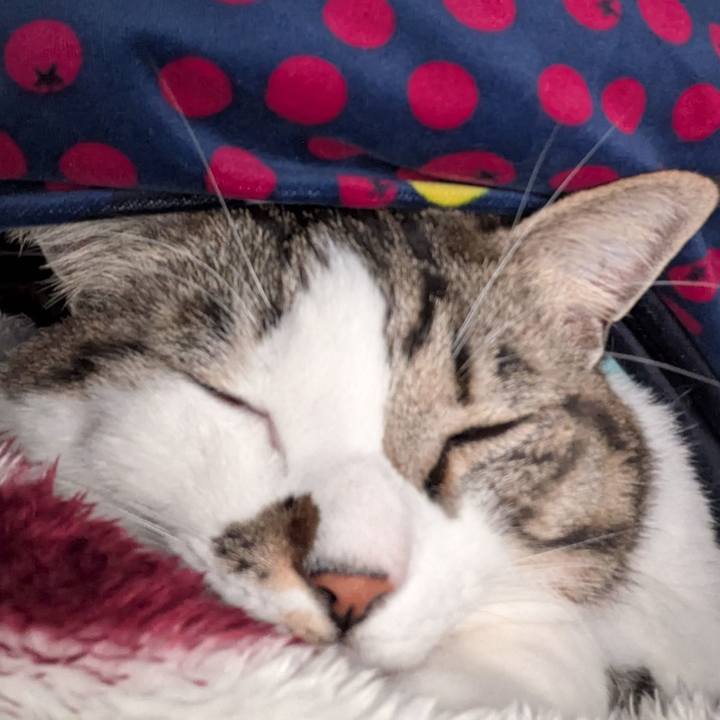 A14692e1 f55e 46c0 b751 1b16e887112a 1737150619697