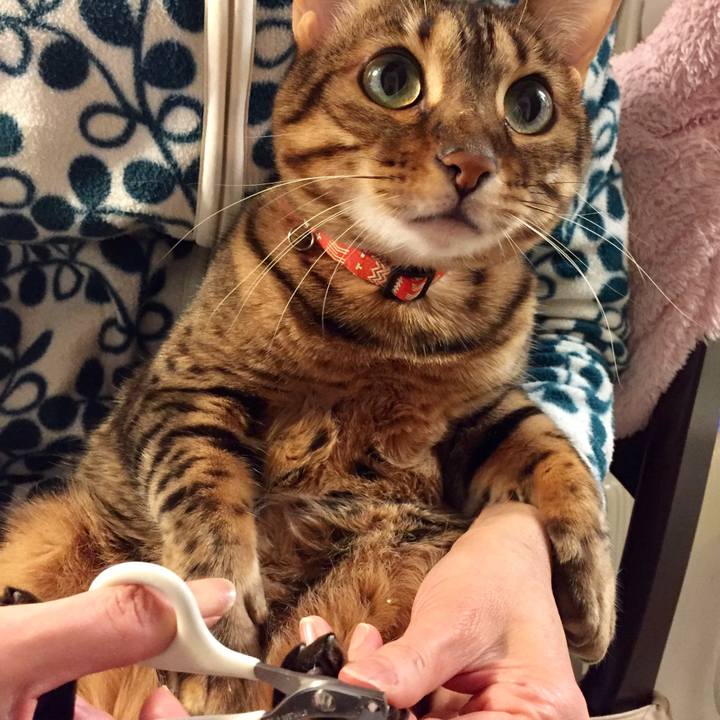 A146ada5 8b53 462f 8454 6addb3827579 1513738573998