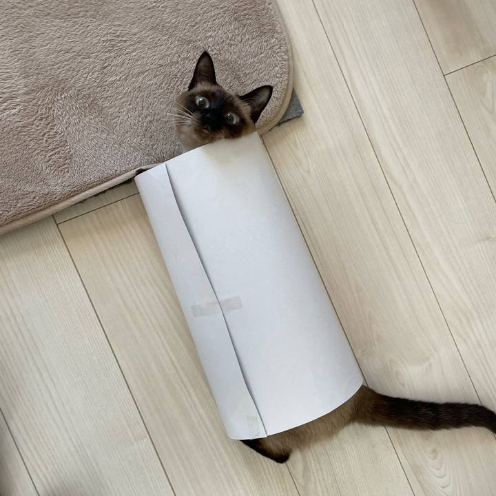 A146e4ee 8142 476b bbc7 1157590a9cb4 1728767982044