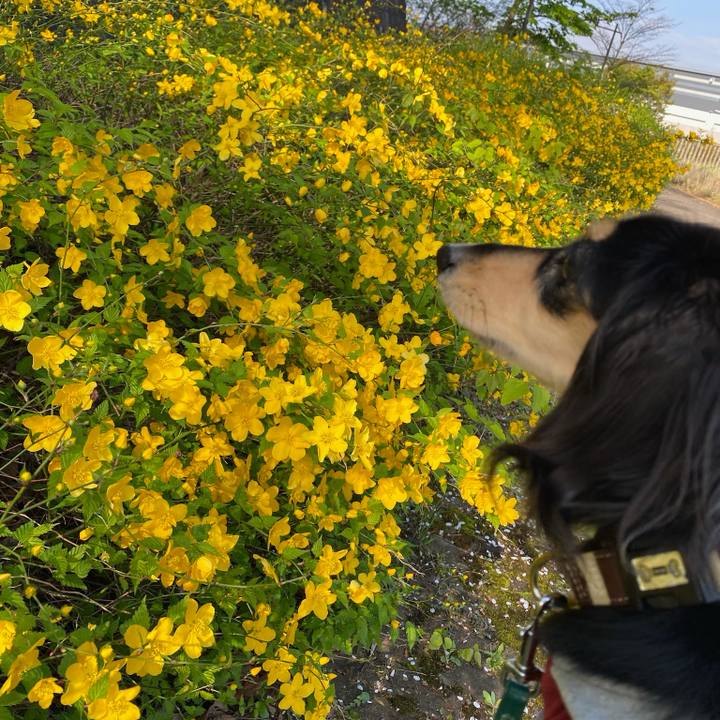 A146ef0e 3627 4031 bd39 4958b89c5ec9 1713060255435