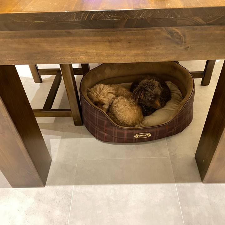 A14764c6 af85 4fb4 9962 0d36d187a7ff 1732554805329