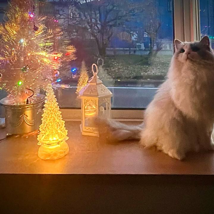 A147737b d518 4139 8e99 dbbf4b40fa87 1765091681371