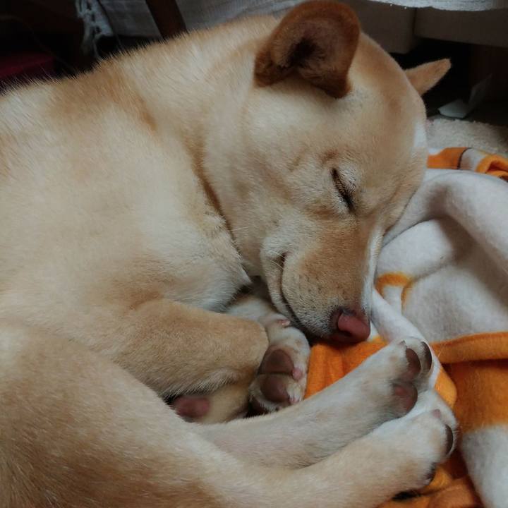 A147a5db c8d5 404c 96b3 e2473894152f 1517745306130