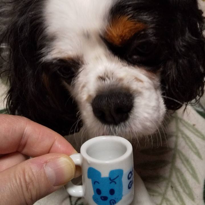 A147c5f8 f59a 4b1c 9be9 3f060d41a90f 1557937022299