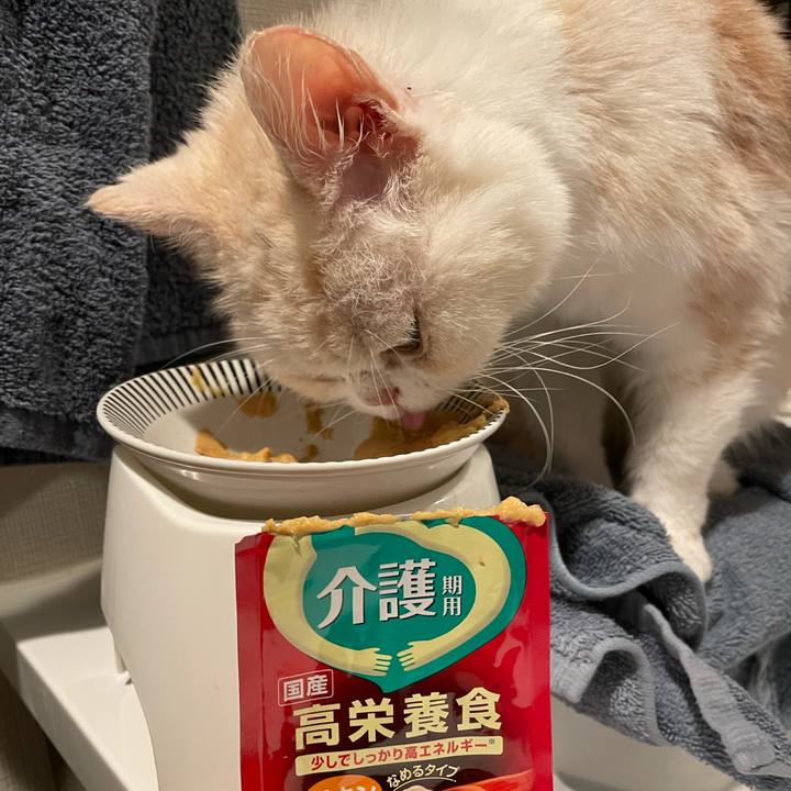 A147c6a8 eb3d 46b5 a800 804beb257c83 1767872318320