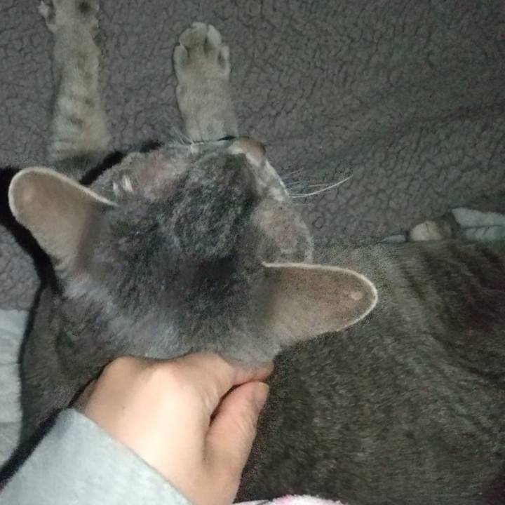 A147caa2 cd32 4d7c 8211 648285cd6e14 1683650815147