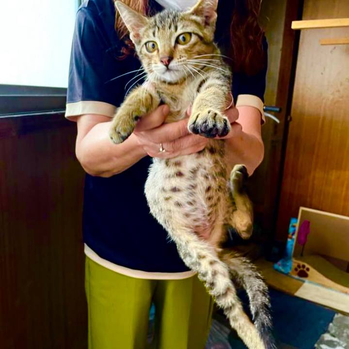 A147cf6d 2e84 41d5 9398 f102c1fbc5ae 1724323913983