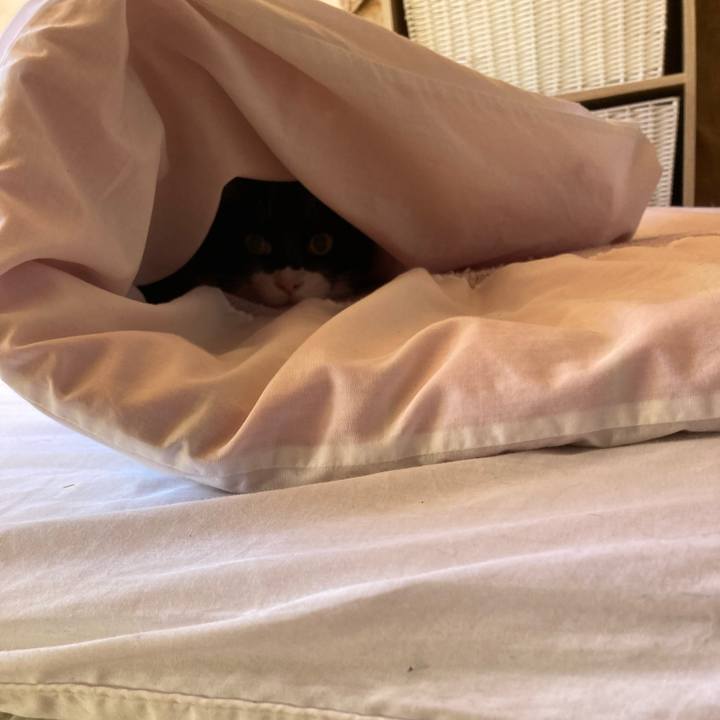 A147f892 c5d1 4028 8aa6 f56eb77dac02 1672130292761