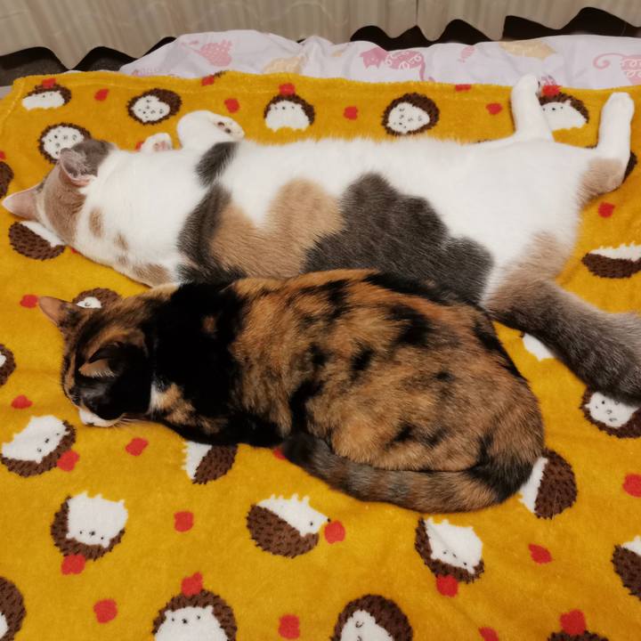 A14804b0 dbce 46d8 a60b 9b653be6f5d4 1668315573929