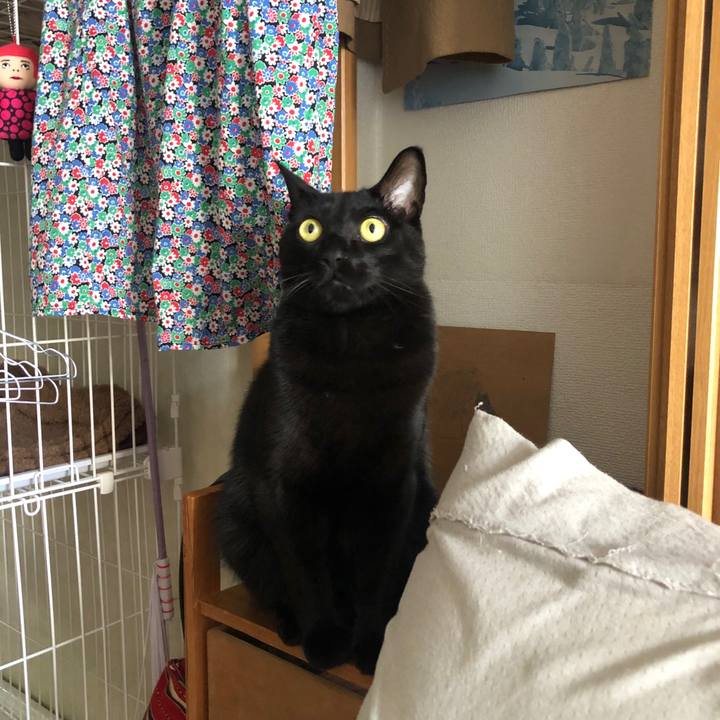 A14820e0 1085 4bb9 a3e2 d583c5f57997 1584486731415