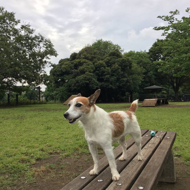 A14860bc be12 4058 8303 56ec1cb17632 1623023056140