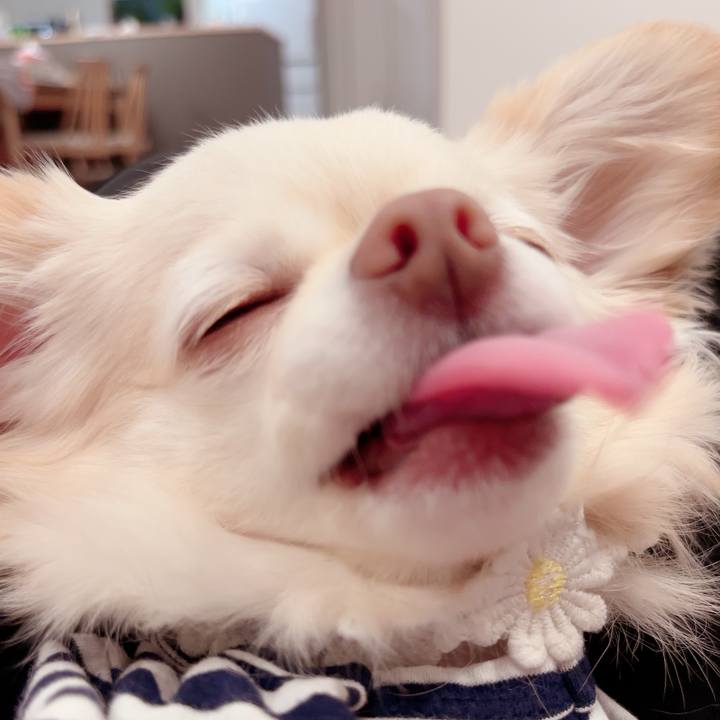 A14865a4 9bcc 43de bb6e 42dd7b30fafd 1718950126156