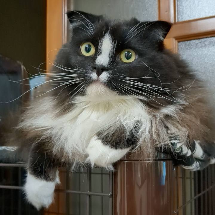 A1486ad5 b776 4d49 a0be 03ac3f55fef6 1670853535596