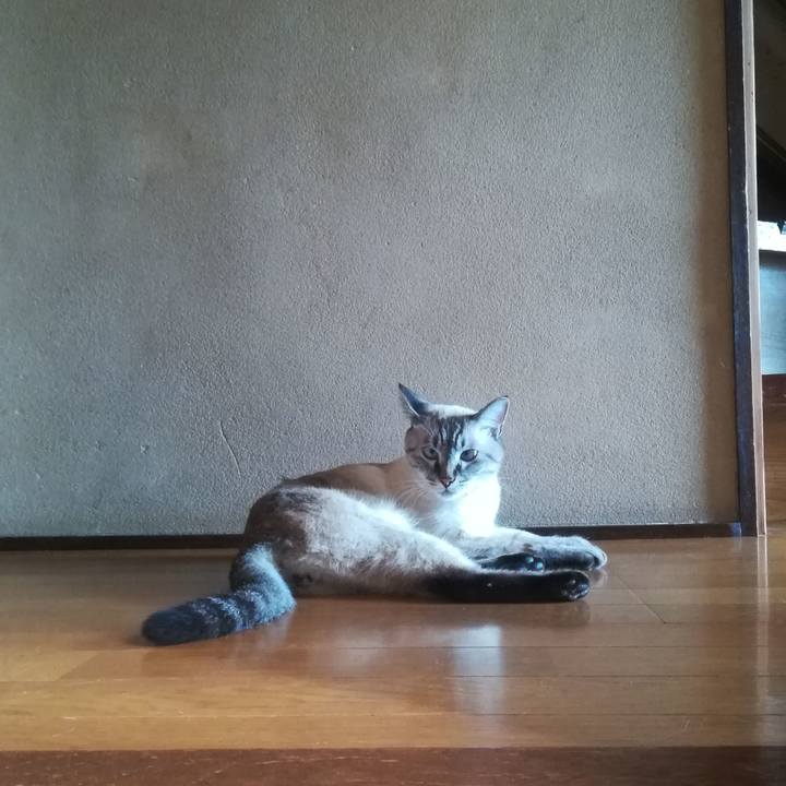 A148a856 7781 4941 abfe dba9e9344dff 1536905292986