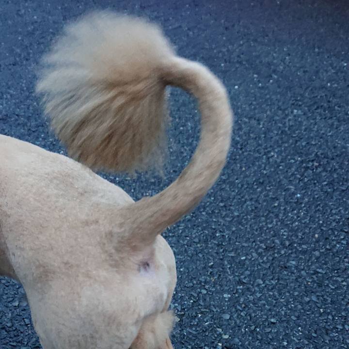 A148c56a 0f1b 4812 9134 322d7d535b9f 1549530606696