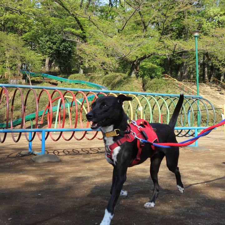 A148ed2c 4b83 4c92 b264 293564bb3125 1586911639301