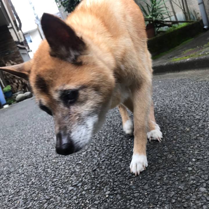 A148f04d ff83 4dfc 9b6d d0062cafb73d 1563588104855