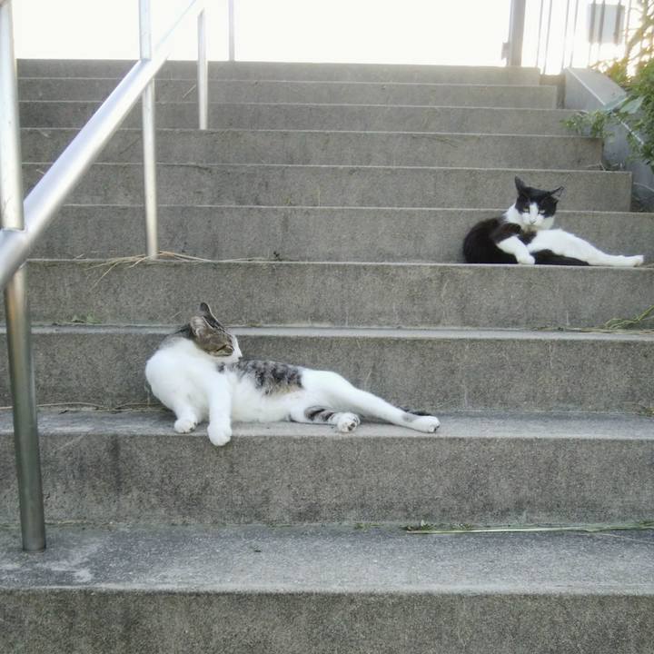 A1490591 4bc3 4131 ac07 b3cfd1fdc1c5 1536147500985