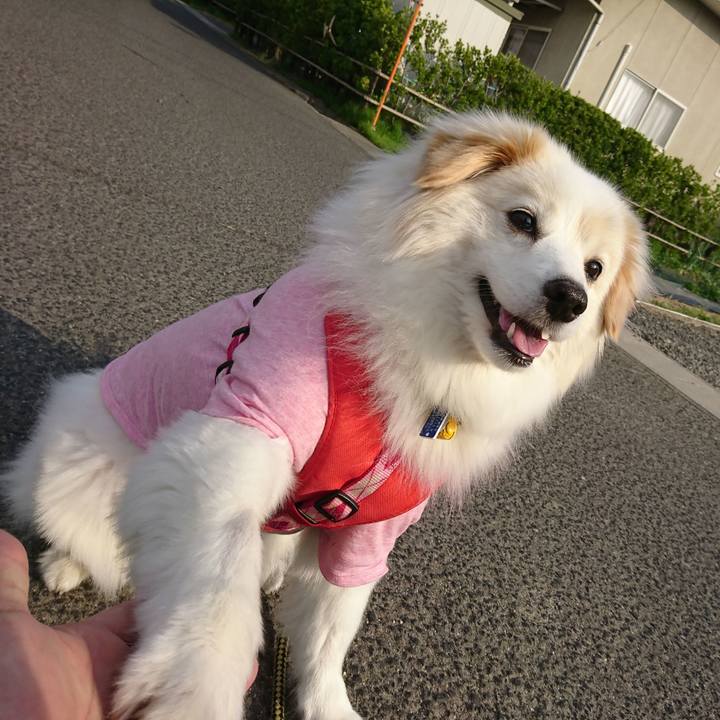 A1492454 9eaa 4c90 8cd8 9ba069183e8a 1528407219842