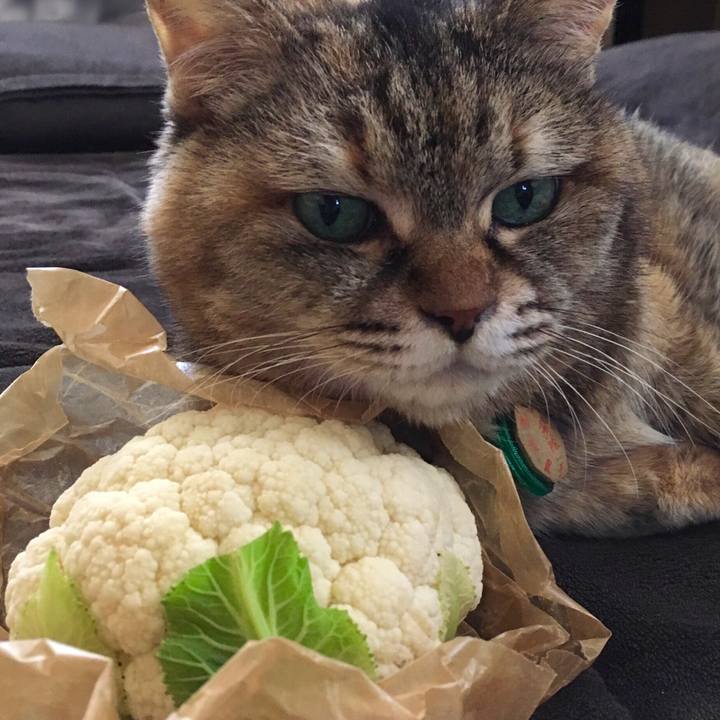 A1494a93 6feb 423d bf89 dc210365ad77 1517367322616