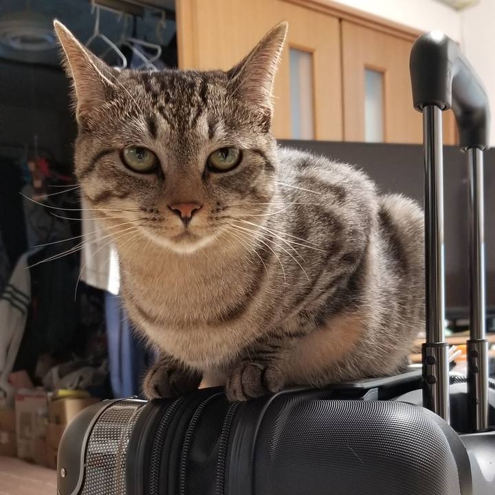 A149b279 3f98 4095 a2f3 d93d28254378 1693065389312