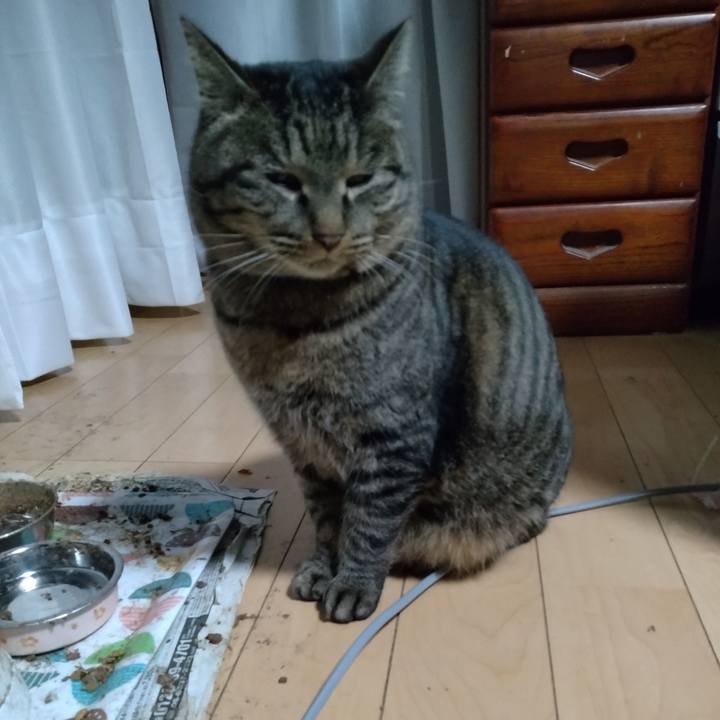 A149b793 832f 417a b7b4 b86abf36c3a3 1674513973758