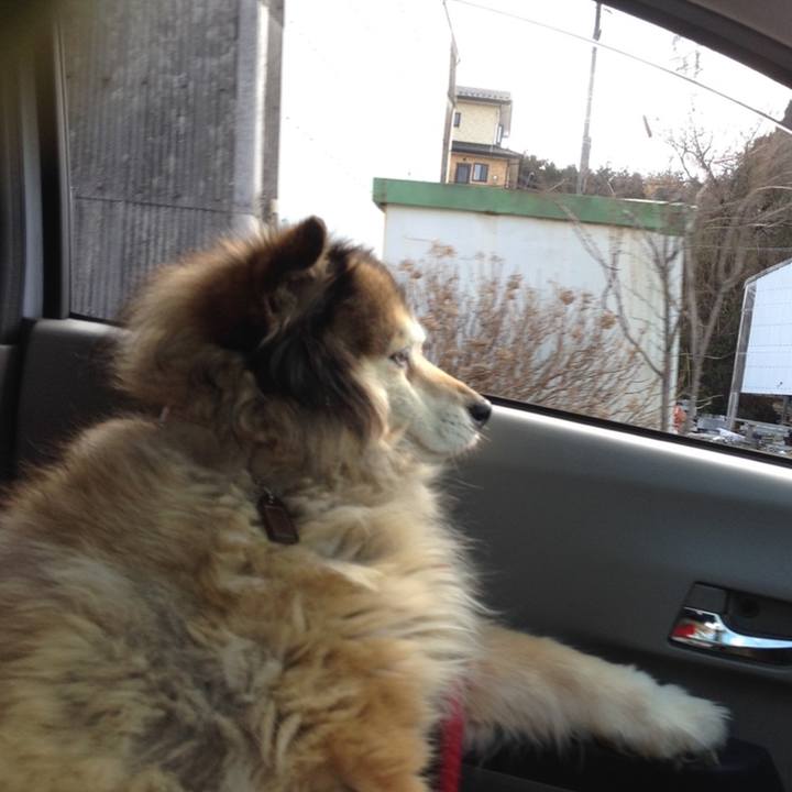 A149cdc2 3cd3 4ebf 9f81 e426699dd8d5 1574177745830