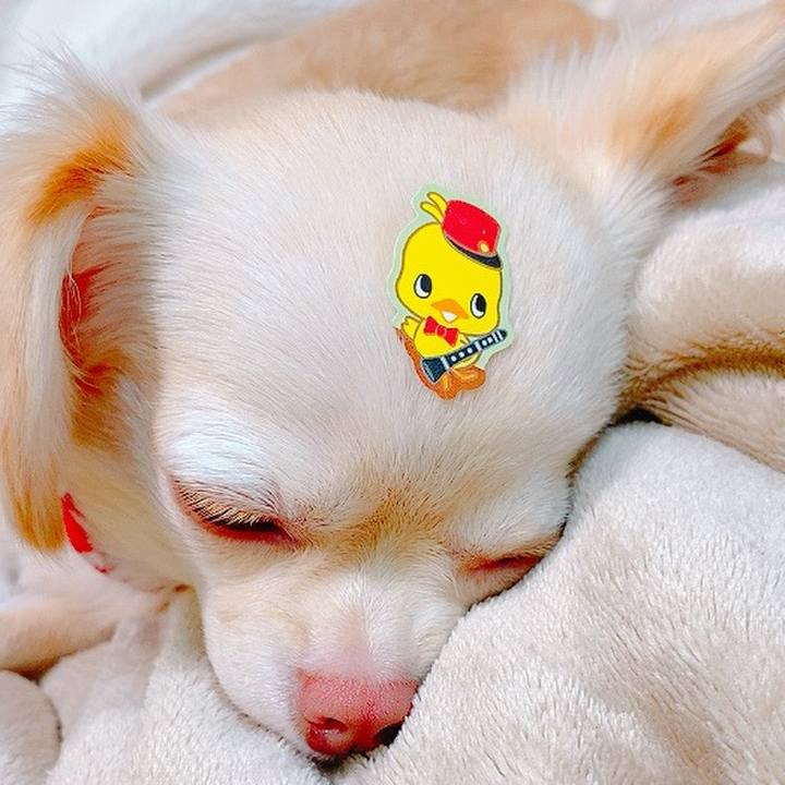 A14a0483 b40f 4dd8 aee4 76ac608ceb60 1629721946883