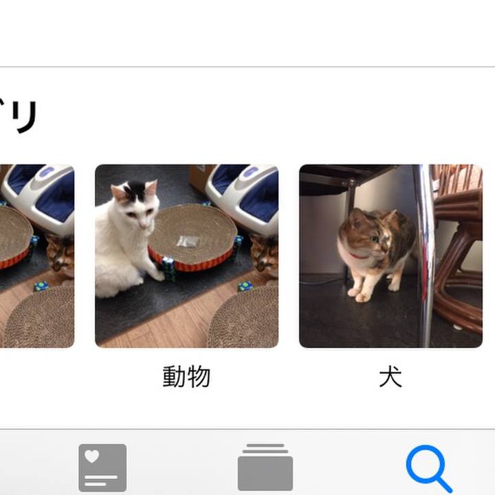 A14a2efd 1470 46b7 85e7 453f66adaea6 1571444942313